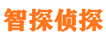 新疆市侦探